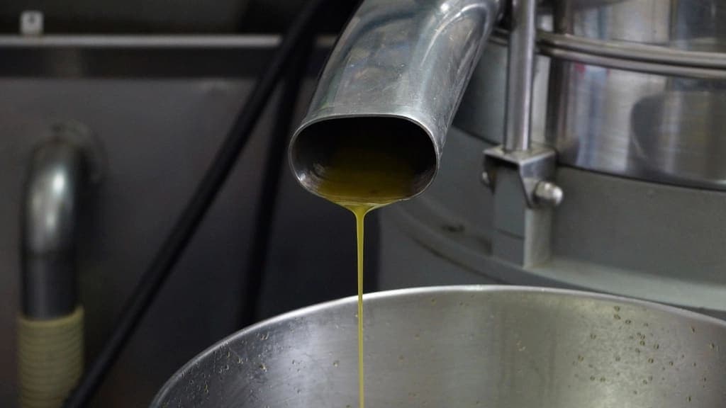 Olio appena franto che scende nel contenitore